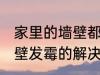 家里的墙壁都发霉了怎么办 家里的墙壁发霉的解决方法