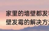 家里的墙壁都发霉了怎么办 家里的墙壁发霉的解决方法