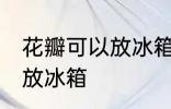 花瓣可以放冰箱保鲜吗 能不能把花瓣放冰箱
