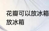 花瓣可以放冰箱保鲜吗 能不能把花瓣放冰箱