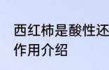 西红柿是酸性还是碱性食物 西红柿的作用介绍