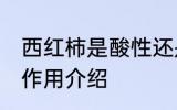 西红柿是酸性还是碱性食物 西红柿的作用介绍