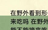 在野外看到形似桑葚的小野果可以摘来吃吗 在野外看到形似桑葚的小野果能不能摘来吃