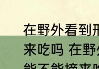 在野外看到形似桑葚的小野果可以摘来吃吗 在野外看到形似桑葚的小野果能不能摘来吃