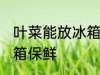 叶菜能放冰箱保鲜吗 叶菜能不能放冰箱保鲜