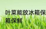 叶菜能放冰箱保鲜吗 叶菜能不能放冰箱保鲜