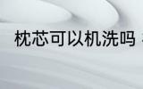 枕芯可以机洗吗 枕芯可不可以机洗