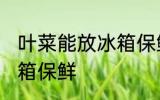 叶菜能放冰箱保鲜吗 叶菜能不能放冰箱保鲜
