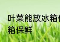 叶菜能放冰箱保鲜吗 叶菜能不能放冰箱保鲜