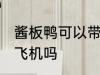酱板鸭可以带上飞机吗 酱板鸭能带上飞机吗