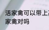 活家禽可以带上高铁吗 高铁不可以带家禽对吗