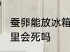 蚕卵能放冰箱的保鲜室吗 蚕卵放冰箱里会死吗