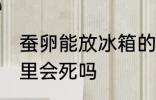蚕卵能放冰箱的保鲜室吗 蚕卵放冰箱里会死吗