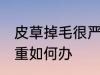皮草掉毛很严重怎么办 皮草掉毛很严重如何办