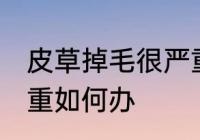 皮草掉毛很严重怎么办 皮草掉毛很严重如何办