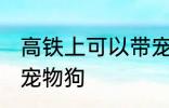 高铁上可以带宠物狗吗 高铁上能否带宠物狗