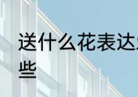 送什么花表达爱情 象征爱情的花有哪些