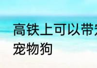 高铁上可以带宠物狗吗 高铁上能否带宠物狗